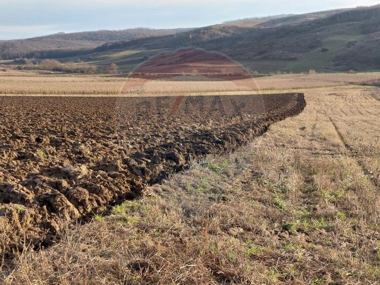 Teren agricol intravilan de 7200 mp, în Secuieni