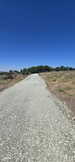 Teren de 320 mp, în Sud