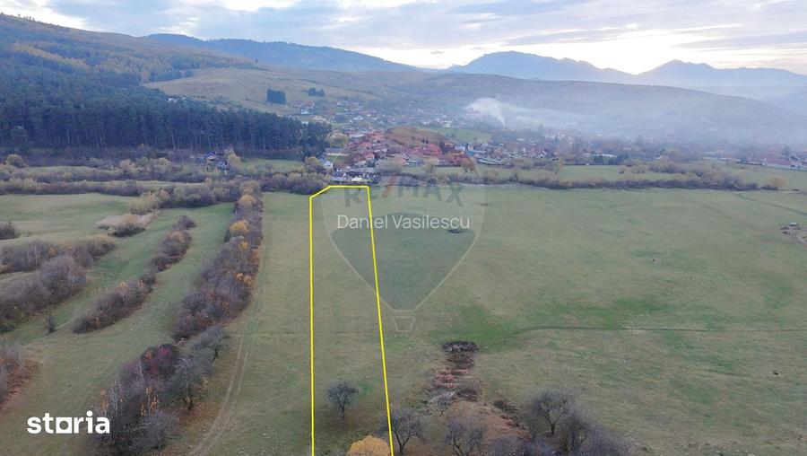 Teren 5.800 mp Purcareni curent, gaz, apa / Strada 30 decembrie