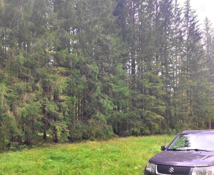 Teren de 2121 mp, în Valea Doftanei