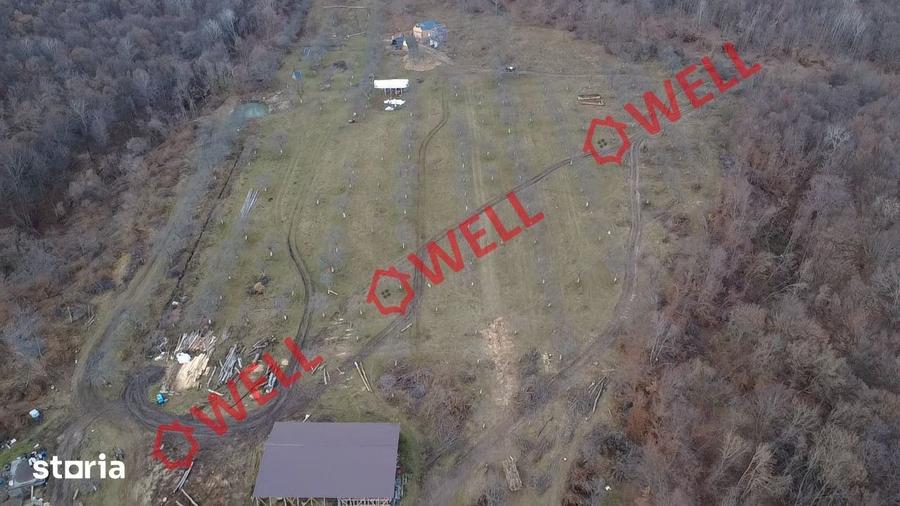 Teren extravilan de 25.274 m2 de vanzare in Calnic, langa padure! - 12