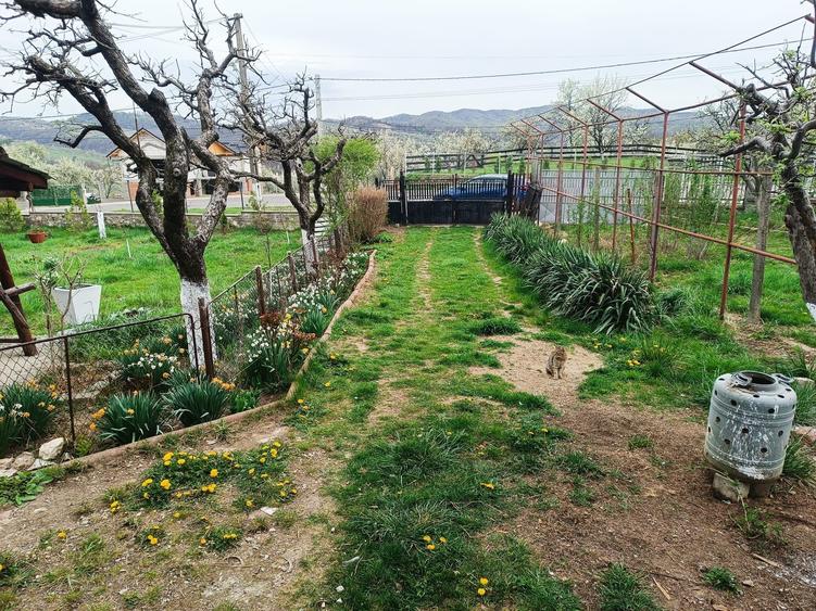 Casă cu 2 camere în Pietroasa