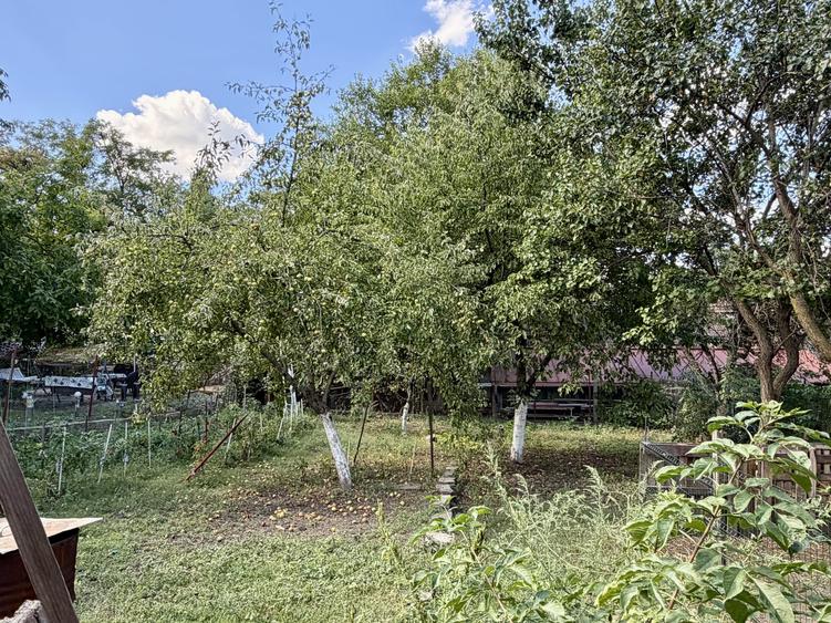 Casă individuală cu 3 camere cu Canalizare în Gruia