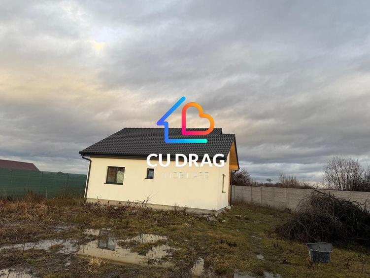 Casă individuală cu 3 camere cu Canalizare în Cristian