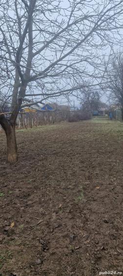 Casă cu Teren 1160 Mp în Zona Industrială