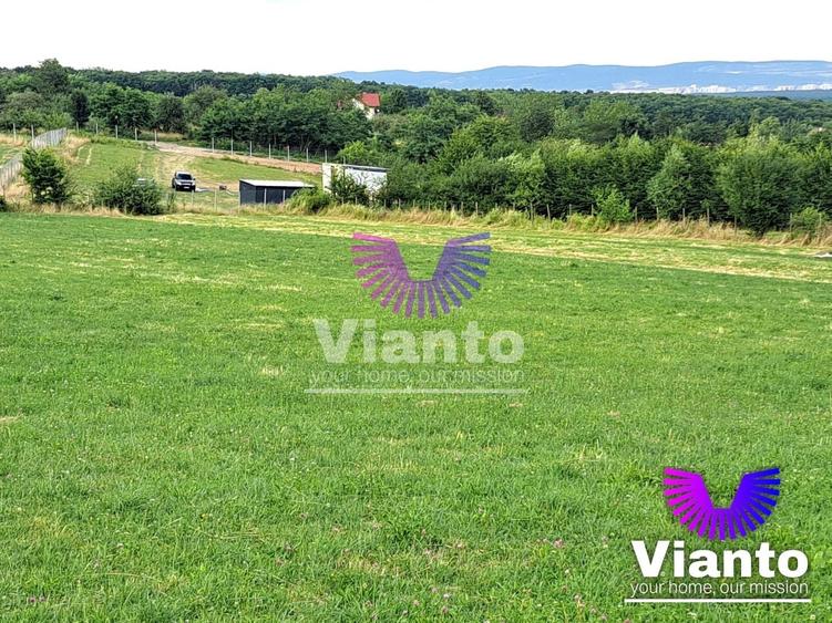 Teren agricol extravilan de 3100 mp, în Rășinari