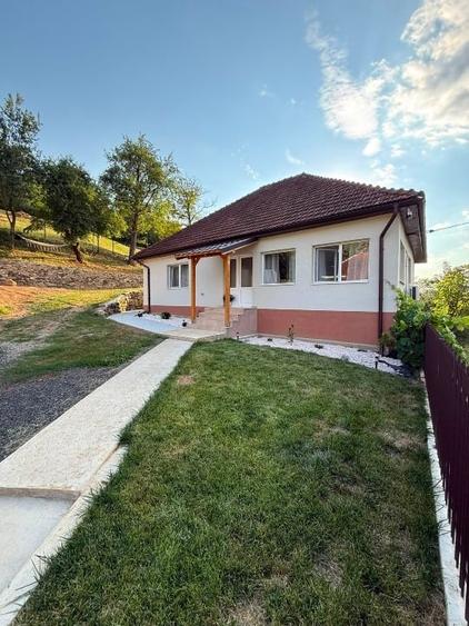 Casă individuală cu 3 camere cu Teren 7400 Mp în Central