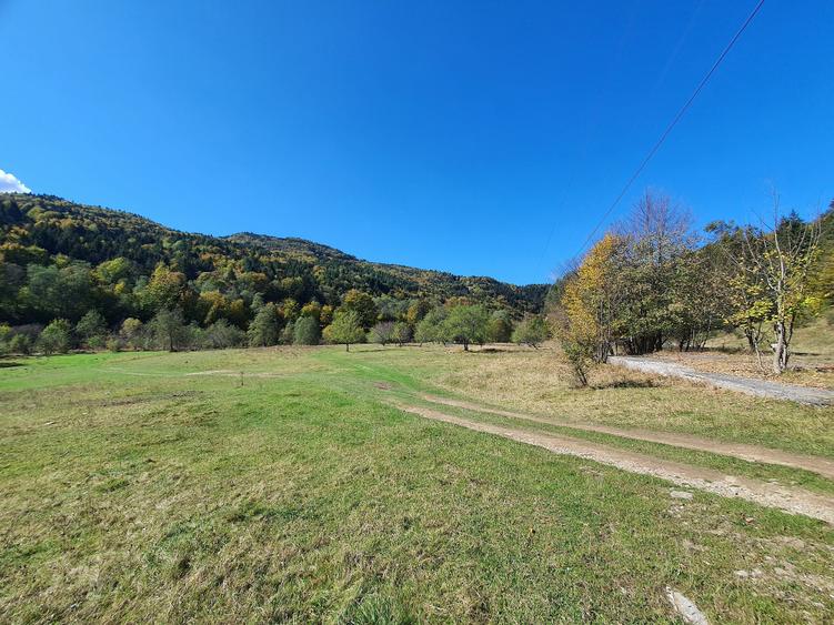 Teren agricol extravilan de 18800 mp, în Babarunca