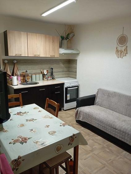 Casa de vanzare Slanic Prahova - zona centrala - 3