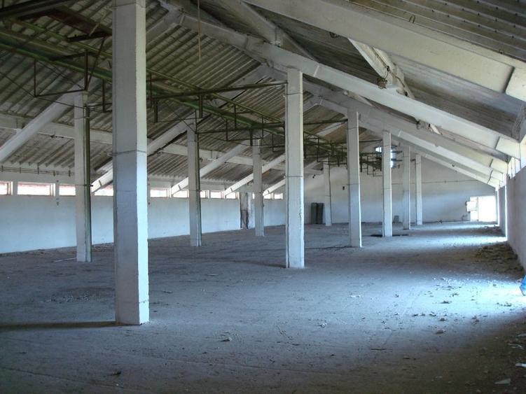 Teren Construcții intravilan de 39000 mp, în Giurgiului