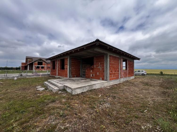 Casă cu 2 camere în Zimandu Nou