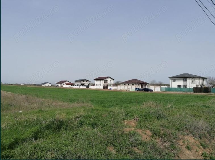 Teren de 7500 mp, în Adunații-Copăceni