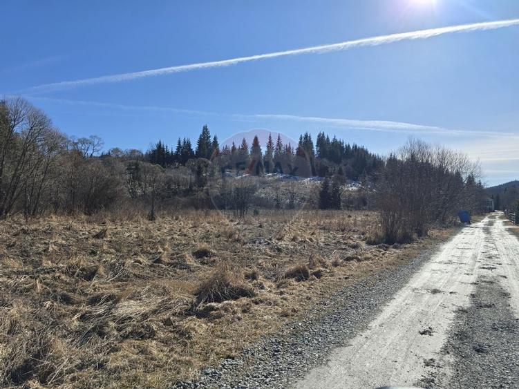 Teren Construcții intravilan de 3135 mp, în Dorna-Arini
