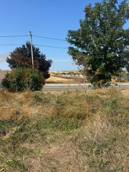 Teren Construcții intravilan de 420 mp, în Costinești