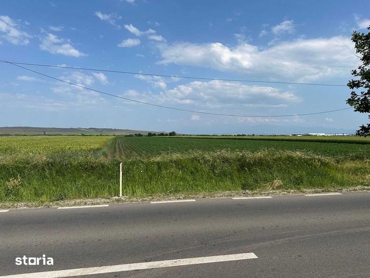 Vand teren 18.100 mp pentru dezvoltare in Sura Mica / jud. Sibiu - 2