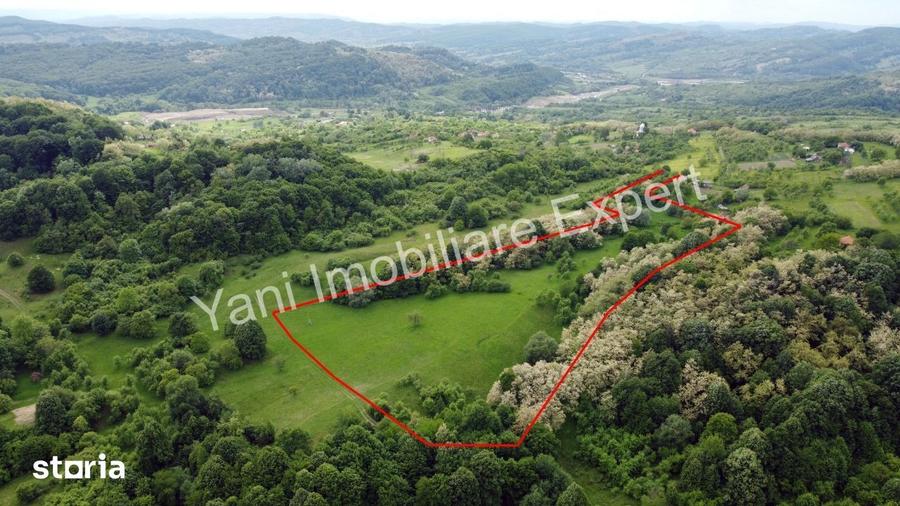 Teren de 34600 mp, în Tigveni
