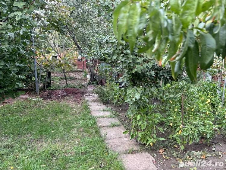Casă cu 6 camere cu Teren 10000 Mp în Mehala