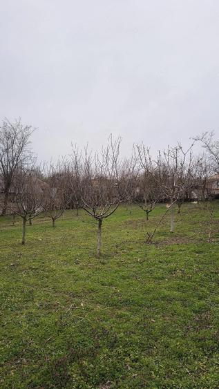 Casă cu Teren 2100 Mp în Aldești