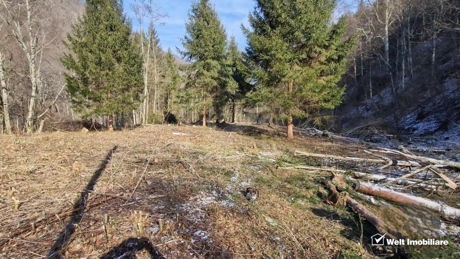 Teren Construcții intravilan de 3279 mp, în Mărișel