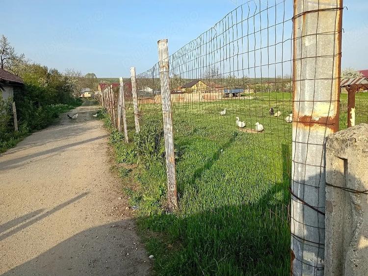 Teren de 1268 mp, în Brădești