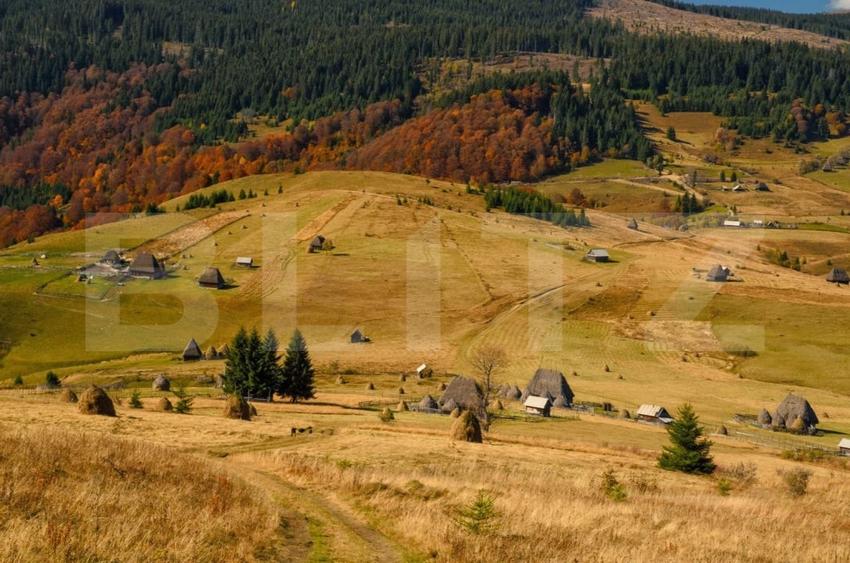 Teren Construcții extravilan de 125000 mp, în Ocoliș