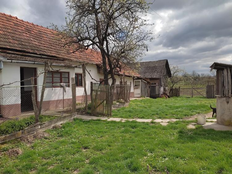 Casă cu 2 camere în Cetariu
