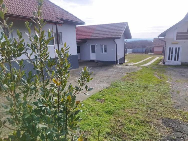 Casă cu 5 camere cu Teren 3000 Mp în Bâlta