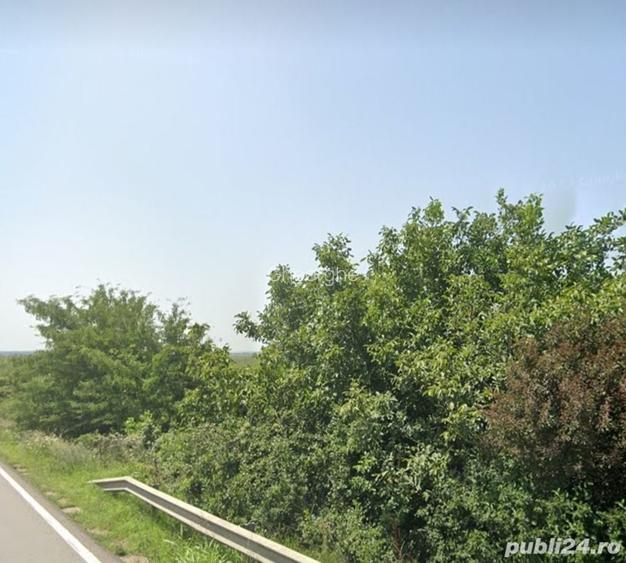 vand teren 5000 mp extravilan in berceni prahova