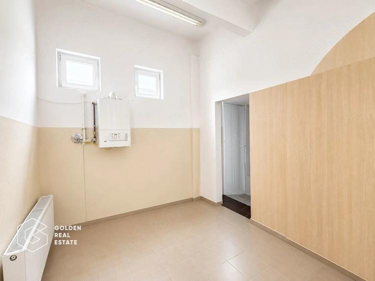 Hala Industriala Premium, Zona de Sud, Timisoara - 6