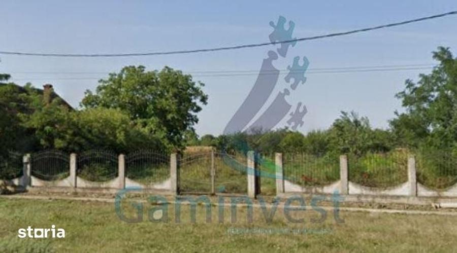 GAMINVEST - Teren intravilan cu livada, Sannicolaul Roman,Bihor, V3076 - 4