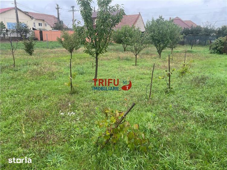 Teren cu proiect pentru locuinta cuplata in Micesti - 2