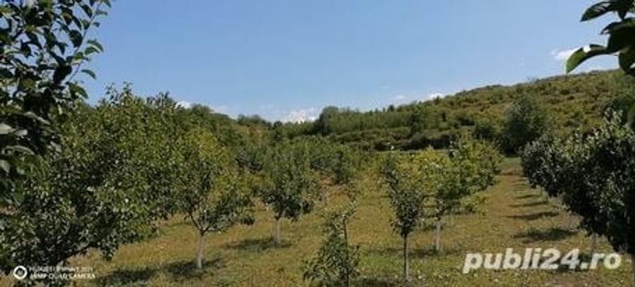 Teren de 2070 mp, în Manasia