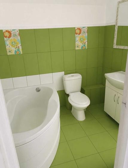 Vila P+M cu 10 ari teren Valea Borcutului - 14