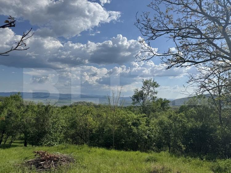 Teren Construcții intravilan de 15080 mp, în Periferie