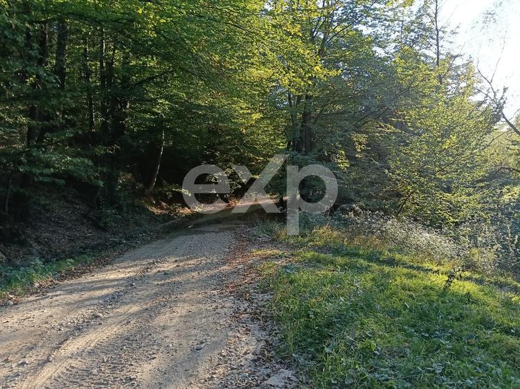 Teren Construcții extravilan de 3700 mp, în Vulturești