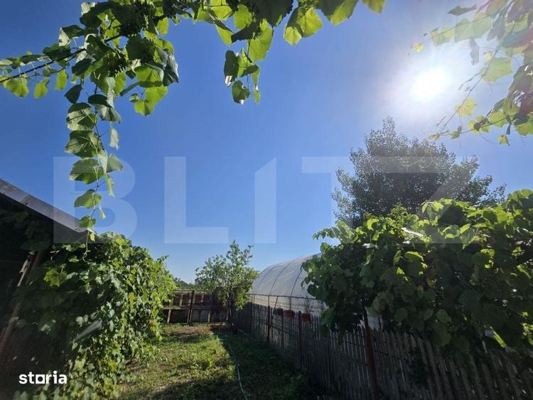 Casă cu 3 camere în Costești