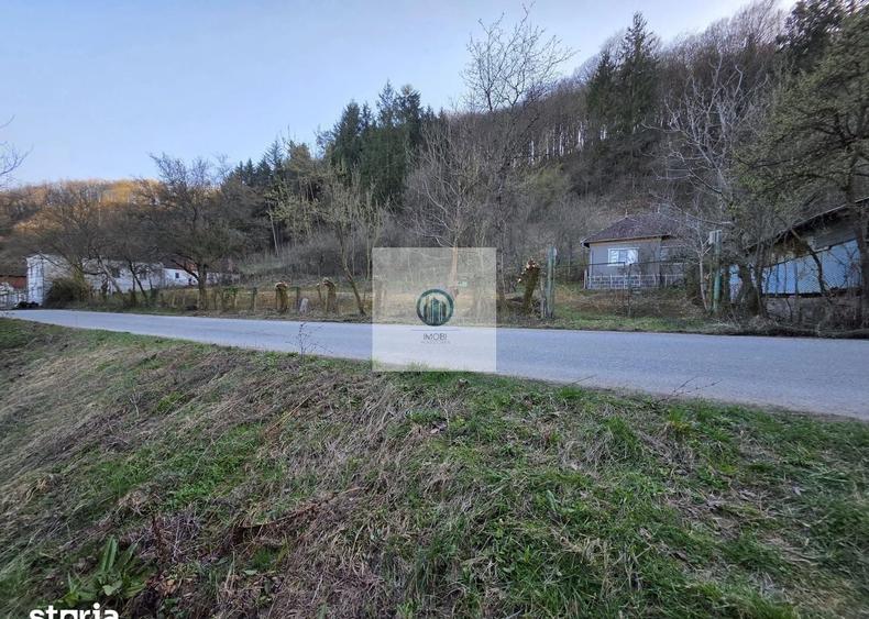 Casă individuală cu 2 camere cu Canalizare în Burjuc