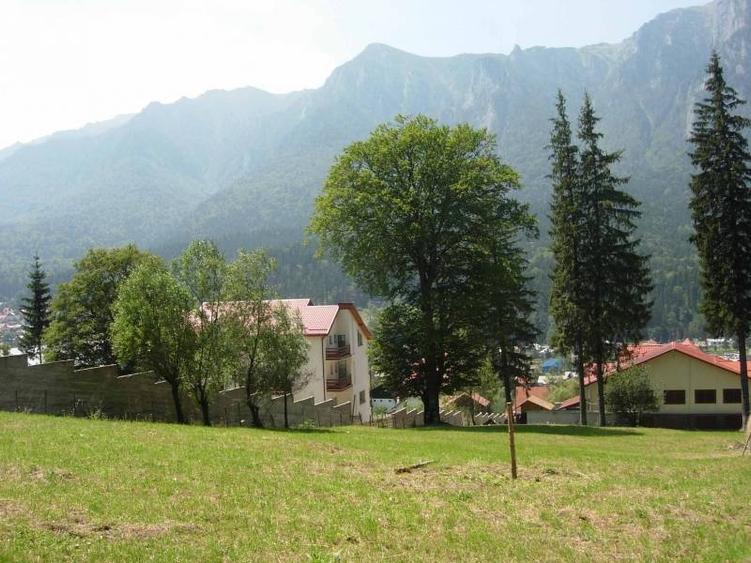 Teren intravilan de 3872 mp, în Zamora