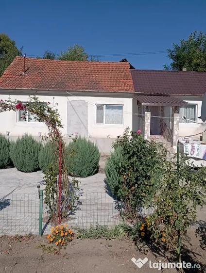 Casă cu 2 camere în Sârbi