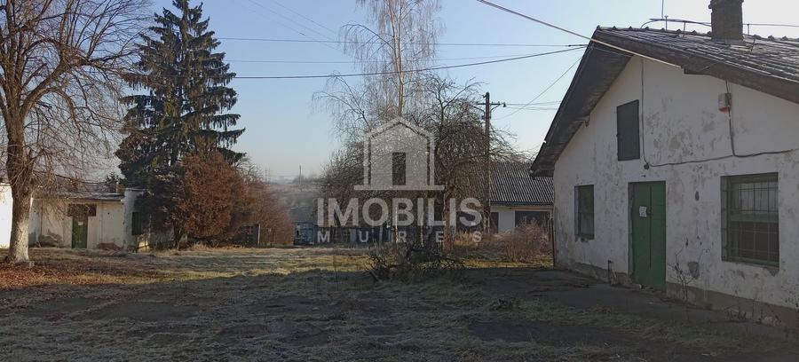 Teren Construcții intravilan de 13134 mp, în Budiului