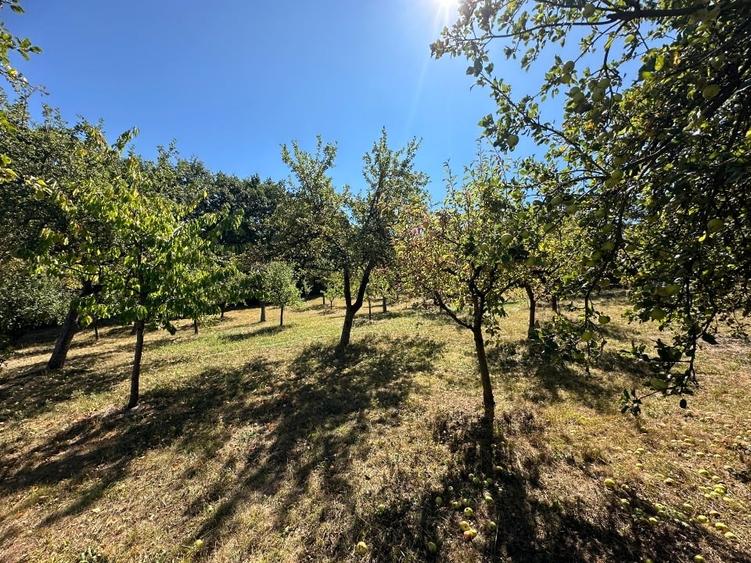 Casă individuală cu 2 camere cu Teren 3400 Mp în Central