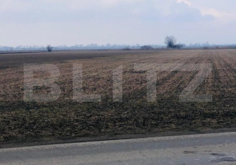 Teren Construcții extravilan de 30000 mp, în Nord