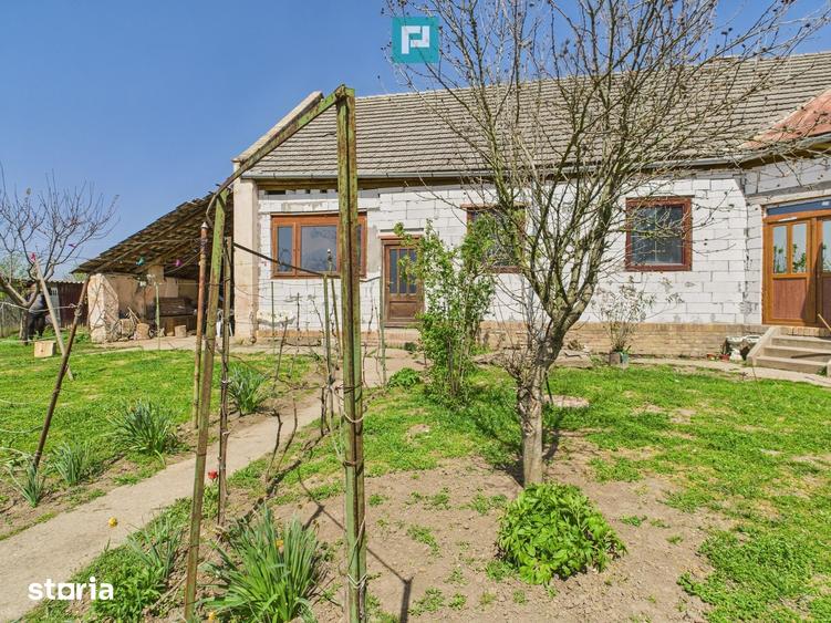 Casă cu 4 camere cu Teren 5942 Mp în Variaș