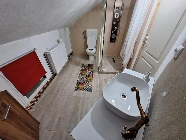 Casă individuală cu 5 camere cu Teren 7000 Mp în Central