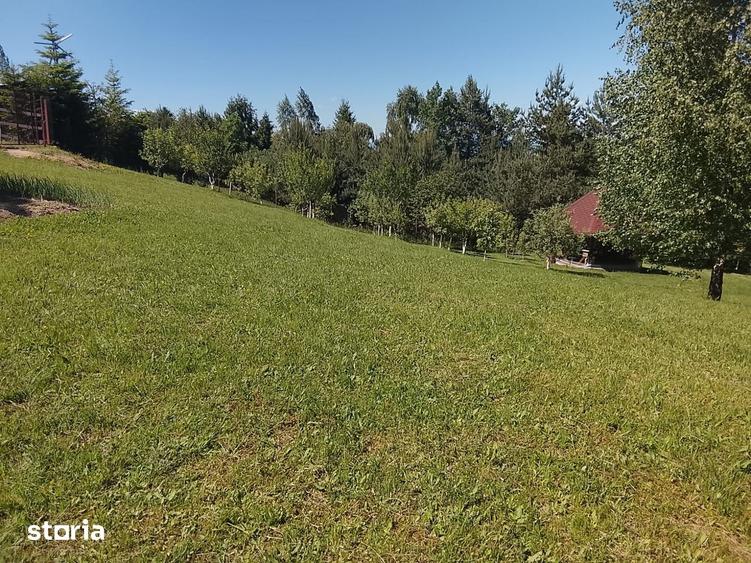 Teren de 2000 mp, în Ștefan cel Mare