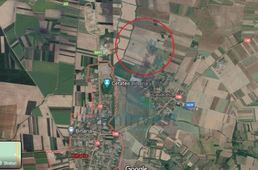Teren agricol extravilan de 10000 mp, în Biharia