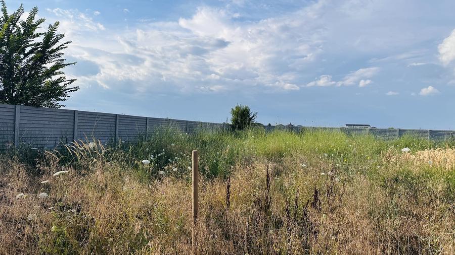 Teren Construcții intravilan de 600 mp, în Chiajna