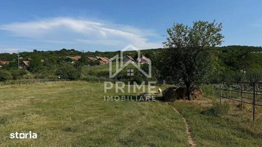 Teren de 3664 mp, în Berghin