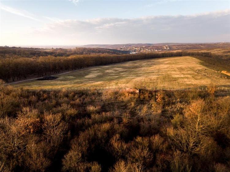 Teren intravilan de 4333 mp, în Săldăbagiu de Munte