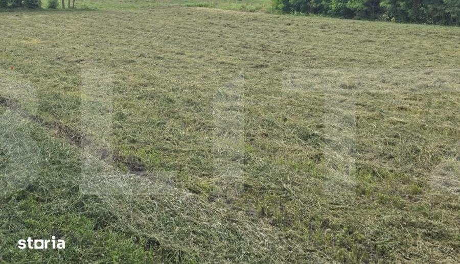 Teren de 3600 mp, în Stăuceni